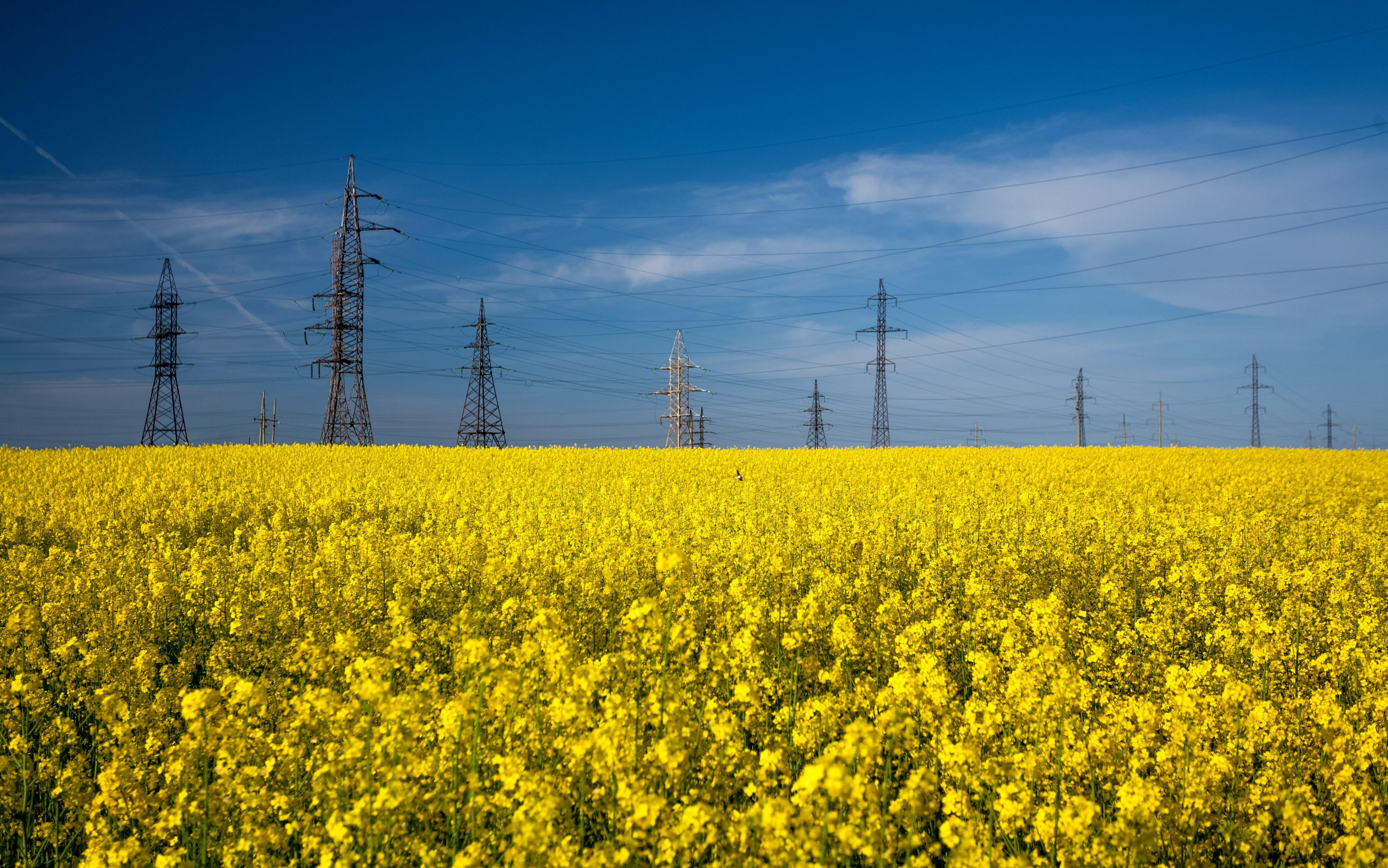 Enel X dla Forbes: DSR to efektywne wsparcie transformacji energetycznej